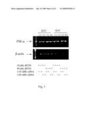 SYSTEM FOR IDENTIFYING AND ANALYZING EXPRESSION OF ARE-CONTAINING GENES diagram and image