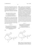 HCV NS3 protease inhibitors diagram and image