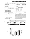 IG20 SPLICE VARIANTS THERAPEUTICS FOR CANCER diagram and image