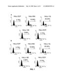 IG20 SPLICE VARIANTS THERAPEUTICS FOR CANCER diagram and image