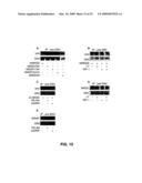 IG20 SPLICE VARIANTS THERAPEUTICS FOR CANCER diagram and image