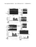 IG20 SPLICE VARIANTS THERAPEUTICS FOR CANCER diagram and image