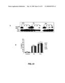 IG20 SPLICE VARIANTS THERAPEUTICS FOR CANCER diagram and image