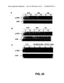 IG20 SPLICE VARIANTS THERAPEUTICS FOR CANCER diagram and image