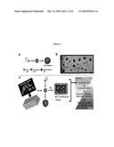 METHODS FOR TREATING NEUROLOGICAL DISORDERS OR DAMAGE diagram and image