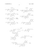 TARTRATE SALTS OF QUINAZOLINE BASED EGFR INHIBITORS CONTAINING A ZINC BINDING MOIETY diagram and image