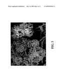 BIPHENYL COMPOUNDS USEFUL AS MUSCARINIC RECEPTOR ANTAGONISTS diagram and image