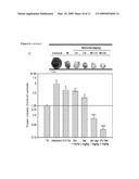 SYNERGISTIC TUMOR-KILLING EFFECT OF RADIATION AND BERBERINE COMBINED TREATMENT IN LUNG CANCER diagram and image