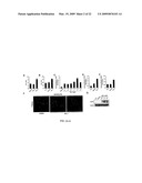 STEM CELL DIFFERENTIATING AGENTS AND USES THEREFOR diagram and image