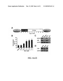 STEM CELL DIFFERENTIATING AGENTS AND USES THEREFOR diagram and image