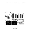 STEM CELL DIFFERENTIATING AGENTS AND USES THEREFOR diagram and image