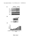 STEM CELL DIFFERENTIATING AGENTS AND USES THEREFOR diagram and image