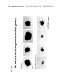 STEM CELL DIFFERENTIATING AGENTS AND USES THEREFOR diagram and image