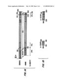 Plus end-directed microtubule motor required for chromosome congression diagram and image