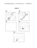 Antibodies against CD38 for treatment of multiple myeloma diagram and image