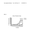 MRI-Guided Photodynamic Therapy For Cancer diagram and image