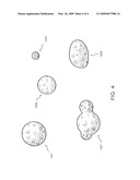 Method and system for forming beaded ice cream products diagram and image