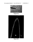 Apparatus and Methods for Growing Nanofibres and Nanotips diagram and image