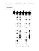 CHARGE TAGS AND THE SEPARATION OF NUCLEIC ACID MOLECULES diagram and image