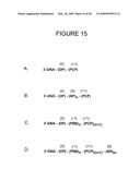 CHARGE TAGS AND THE SEPARATION OF NUCLEIC ACID MOLECULES diagram and image