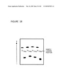 CHARGE TAGS AND THE SEPARATION OF NUCLEIC ACID MOLECULES diagram and image