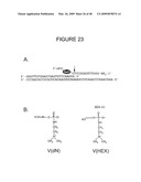 CHARGE TAGS AND THE SEPARATION OF NUCLEIC ACID MOLECULES diagram and image