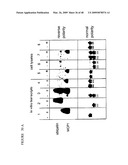 CHARGE TAGS AND THE SEPARATION OF NUCLEIC ACID MOLECULES diagram and image