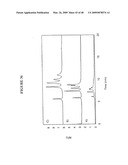 CHARGE TAGS AND THE SEPARATION OF NUCLEIC ACID MOLECULES diagram and image