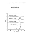 CHARGE TAGS AND THE SEPARATION OF NUCLEIC ACID MOLECULES diagram and image