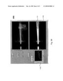 TECHNIQUES FOR OPTICAL ION BEAM METROLOGY diagram and image