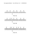 Display Device And Electric Apparatus Using The Same diagram and image