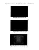 FLUORESCENCE FILTERING SYSTEM AND METHOD FOR MOLECULAR IMAGING diagram and image