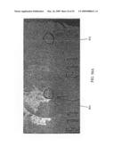 Computer Controllable LED Light Source for Device for Inspecting Microscopic Objects diagram and image