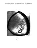 Computer Controllable LED Light Source for Device for Inspecting Microscopic Objects diagram and image