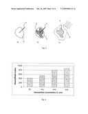 Injectable superparamagnetic nanoparticles for treatment by hyperthermia and use for forming an hyperthermic implant diagram and image