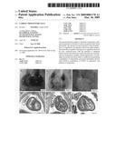 Cardiac progenitor cells diagram and image