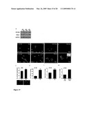 Cardiac progenitor cells diagram and image