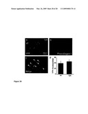 Cardiac progenitor cells diagram and image