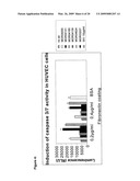 High affinity human and humanized anti-alpha5beta1 integrin function blocking antibodies with reduced immunogenicity diagram and image