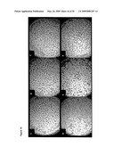 High affinity human and humanized anti-alpha5beta1 integrin function blocking antibodies with reduced immunogenicity diagram and image