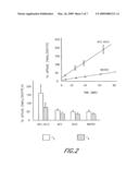 USE AND TARGETING OF CD98 LIGHT-CHAIN PROTEINS IN THERAPIES FOR THYROID HORMONE DISORDERS diagram and image