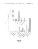 USE AND TARGETING OF CD98 LIGHT-CHAIN PROTEINS IN THERAPIES FOR THYROID HORMONE DISORDERS diagram and image