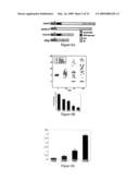 Compositions and methods for treatment of cervical cancer diagram and image