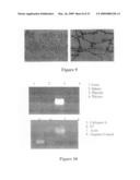 Compositions and methods for treatment of cervical cancer diagram and image