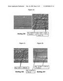 Biodegradable Magnesium Alloys and Uses Thereof diagram and image
