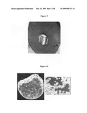 Biodegradable Magnesium Alloys and Uses Thereof diagram and image