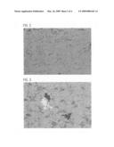 Ceramic Solid Component, Ceramic Layer With High Porosity, Use of Said Layer, and a Component Comprising Said Layer diagram and image