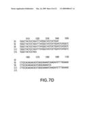 Hepatitis B Viral Variants With Reduced Susceptibility To Nucleoside Analogs And Uses Thereof diagram and image