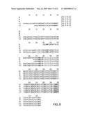 Hepatitis B Viral Variants With Reduced Susceptibility To Nucleoside Analogs And Uses Thereof diagram and image