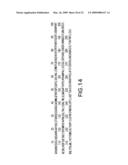 Hepatitis B Viral Variants With Reduced Susceptibility To Nucleoside Analogs And Uses Thereof diagram and image